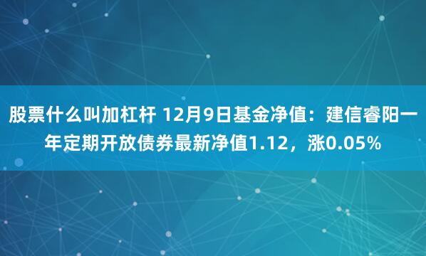 股票什么叫加杠杆 12月9日基金净值：建信睿阳一年定期开放债券最新净值1.12，涨0.05%