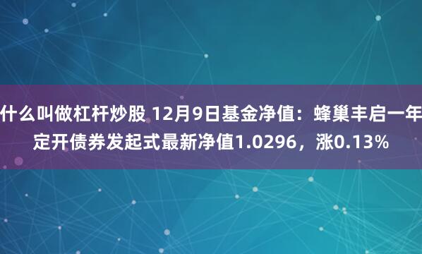 什么叫做杠杆炒股 12月9日基金净值：蜂巢丰启一年定开债券发起式最新净值1.0296，涨0.13%