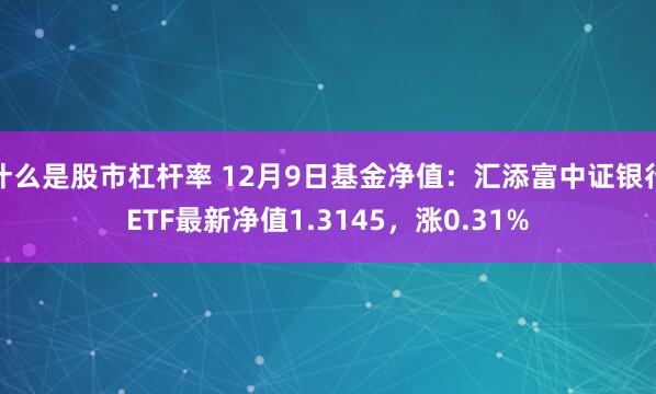 什么是股市杠杆率 12月9日基金净值：汇添富中证银行ETF最新净值1.3145，涨0.31%