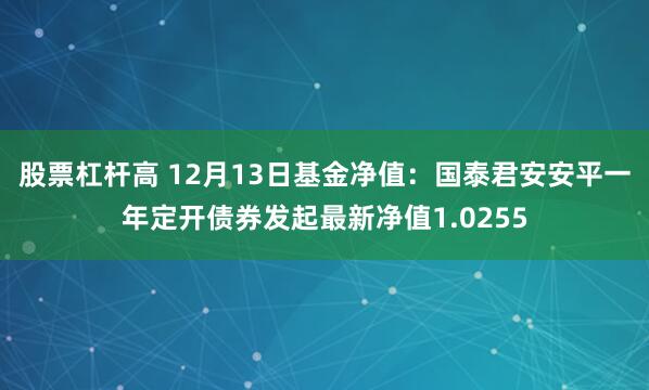 股票杠杆高 12月13日基金净值：国泰君安安平一年定开债券发起最新净值1.0255