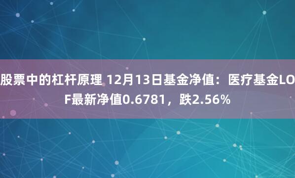 股票中的杠杆原理 12月13日基金净值：医疗基金LOF最新净值0.6781，跌2.56%