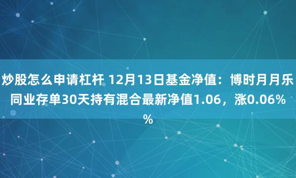 炒股怎么申请杠杆 12月13日基金净值：博时月月乐同业存单30天持有混合最新净值1.06，涨0.06%