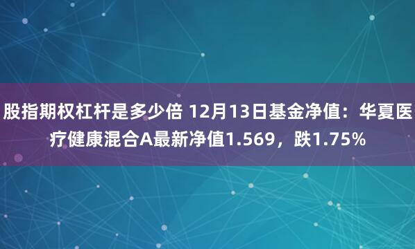 股指期权杠杆是多少倍 12月13日基金净值：华夏医疗健康混合A最新净值1.569，跌1.75%