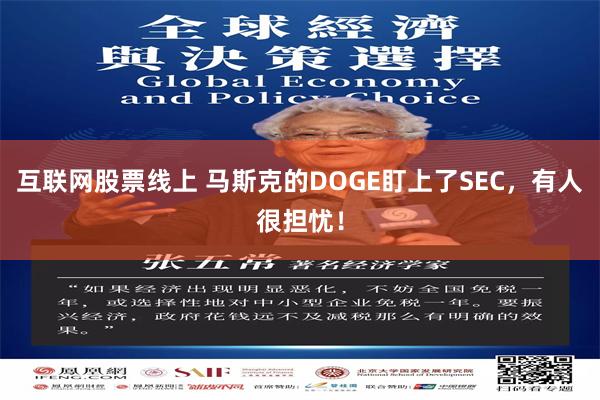 互联网股票线上 马斯克的DOGE盯上了SEC，有人很担忧！