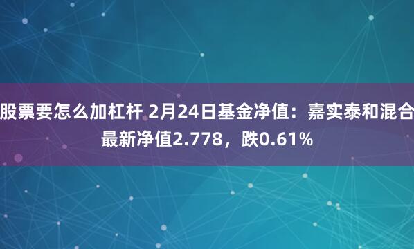 股票要怎么加杠杆 2月24日基金净值：嘉实泰和混合最新净值2.778，跌0.61%