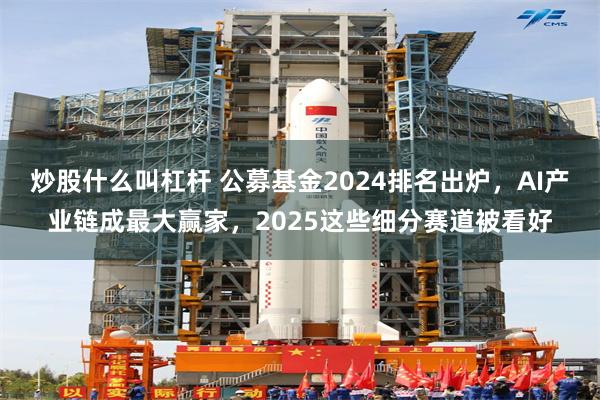 炒股什么叫杠杆 公募基金2024排名出炉，AI产业链成最大赢家，2025这些细分赛道被看好