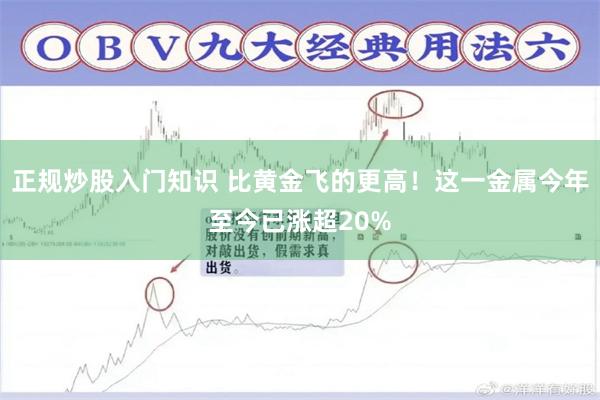 正规炒股入门知识 比黄金飞的更高！这一金属今年至今已涨超20%